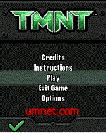 game pic for Teenage Mutant Ninja Turtles TMNT Power of Four